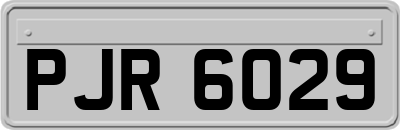 PJR6029