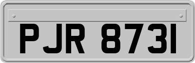 PJR8731