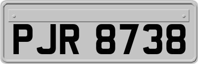PJR8738