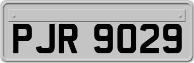 PJR9029