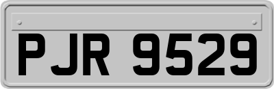 PJR9529