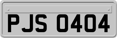 PJS0404