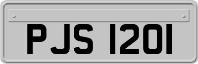 PJS1201