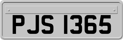 PJS1365