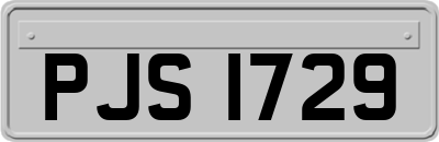 PJS1729