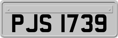 PJS1739