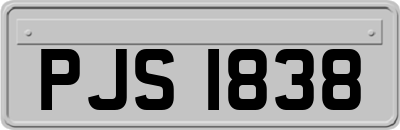 PJS1838