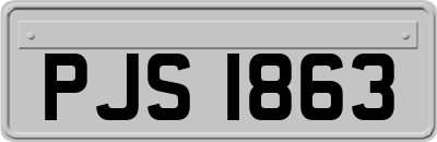 PJS1863