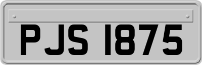 PJS1875