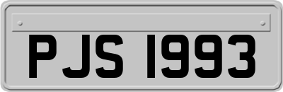 PJS1993