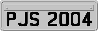 PJS2004