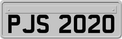 PJS2020