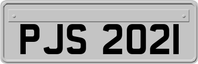 PJS2021