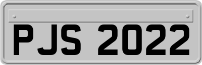 PJS2022