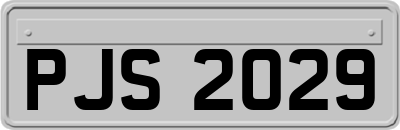 PJS2029