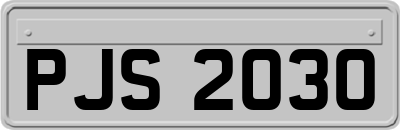 PJS2030