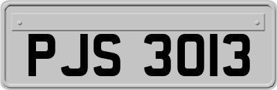 PJS3013