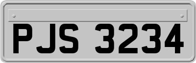 PJS3234