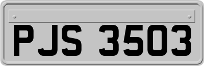 PJS3503