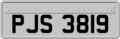 PJS3819