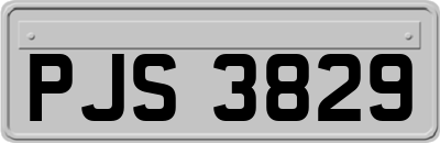 PJS3829
