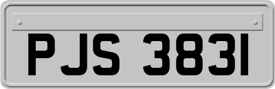 PJS3831