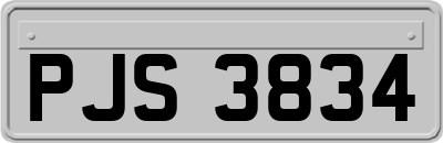 PJS3834