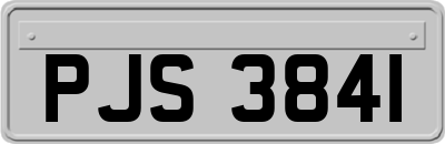 PJS3841