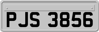 PJS3856