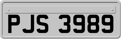 PJS3989