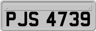 PJS4739