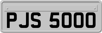 PJS5000