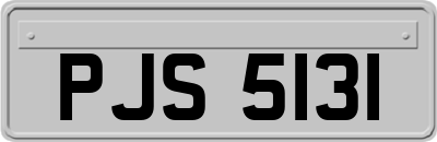 PJS5131