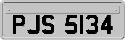 PJS5134