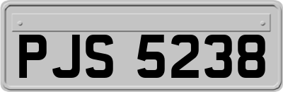 PJS5238