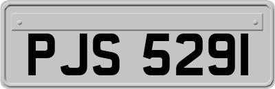 PJS5291