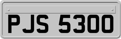 PJS5300
