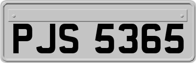 PJS5365