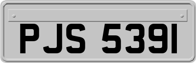 PJS5391