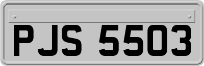 PJS5503