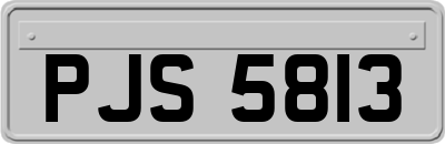 PJS5813