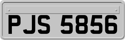PJS5856