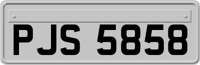 PJS5858
