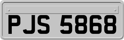PJS5868