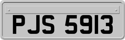 PJS5913