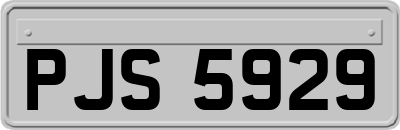 PJS5929