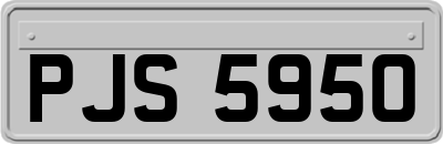 PJS5950
