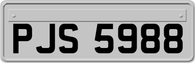PJS5988