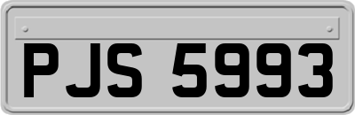 PJS5993