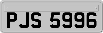 PJS5996